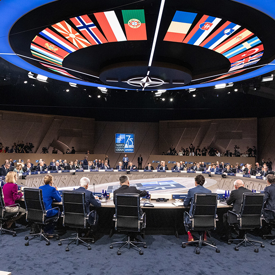 LED Chandelier from NATO for country flags